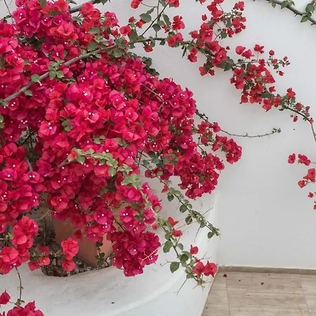 Depis Naxos Apartment *