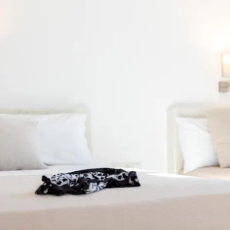 公寓 Depis Place Naxos